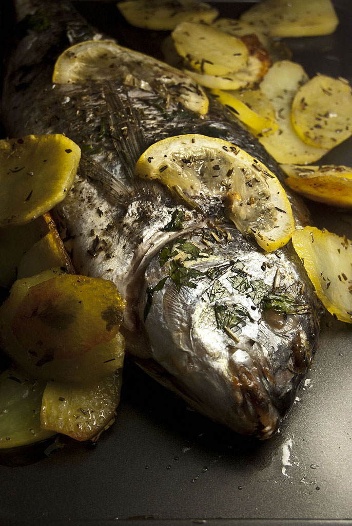 DAURADE DES POUILLES DAURADE DES POUILLES
